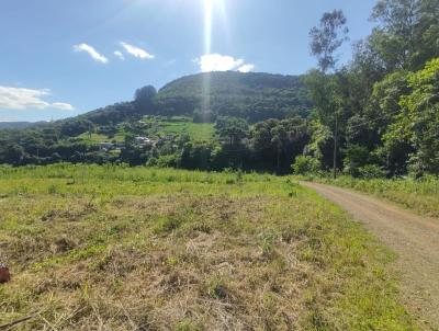 Terreno para Venda, em Santa Maria do Herval, bairro Centro