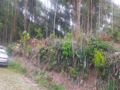 Terreno para Venda, em Nova Friburgo, bairro CENTRO