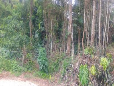 Terreno para Venda, em Nova Friburgo, bairro CENTRO