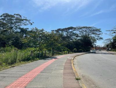 Terreno para Venda, em Araquari, bairro Centro