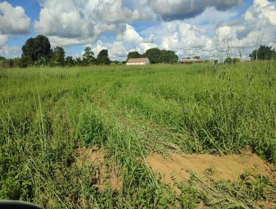 Terreno para Venda, em Sorriso, bairro Distrito de Primaverinha