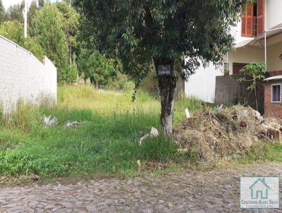 Terreno para Venda, em Sapiranga, bairro Centenrio