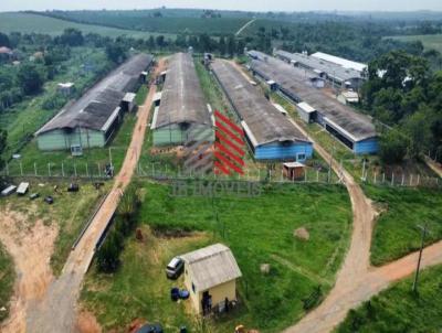 Stio para Venda, em Cesrio Lange, bairro Cesrio Lange