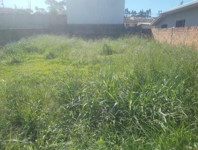 Lote para Venda, em Prudentpolis, bairro VILA BERALDO