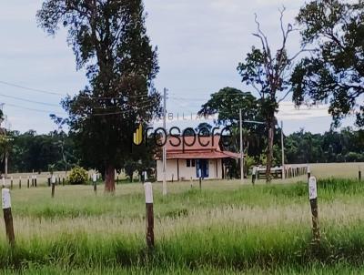 Fazenda para Venda, em Ribas do Rio Pardo, bairro Rural