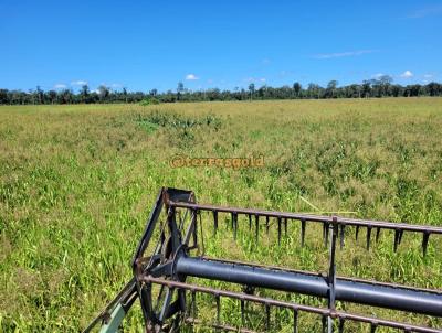 Fazenda para Venda, em Paranatinga, bairro Zona rural