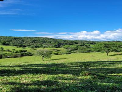 Fazenda para Venda, em Itapaci, bairro 