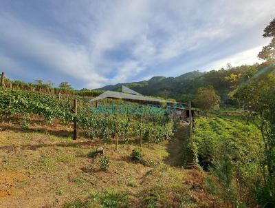 Terreno para Venda, em Imaru, bairro Riacho Ana Matias