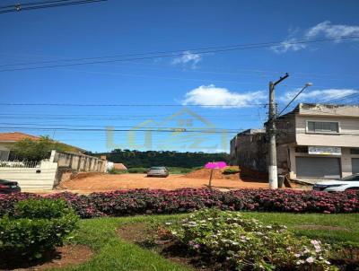 imagem-miniatura