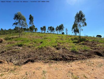 Terreno para Venda, em Toledo, bairro 