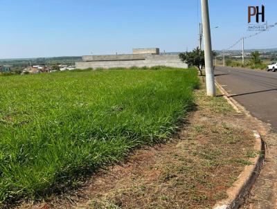 Terreno para Venda, em Lins, bairro Jardim Dona Eugnia