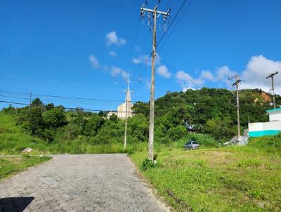 Terreno para Venda, em So Jos, bairro Areias