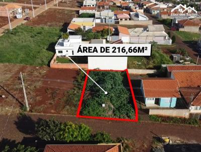 Lote para Venda, em Siqueira Campos, bairro Palmonari