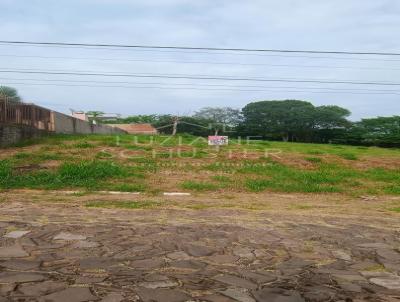 Terreno para Venda, em Porto, bairro Centro