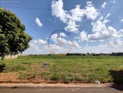 Terreno para Venda, em Jos Bonifcio, bairro Residencial Monte Alegre