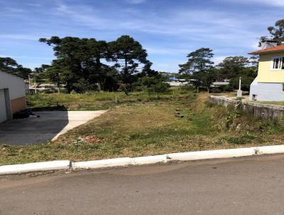 Terreno para Venda, em Garibaldi, bairro Alfndega