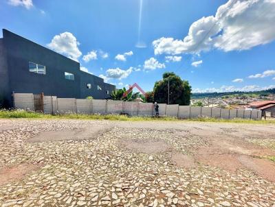 Lote para Venda, em Par de Minas, bairro Vila Ferreira