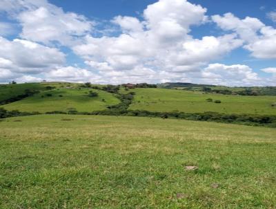 Fazenda para Venda, em Ortigueira, bairro centro