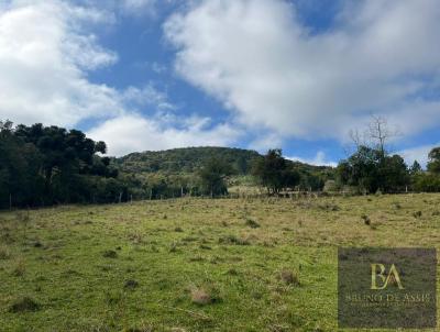 Imveis Vendidos para Venda, em Serto Santana, bairro rea rural