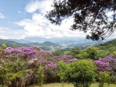 Stio para Venda, em Santo Amaro da Imperatriz, bairro Varginha, 5 dormitrios, 6 banheiros, 2 sutes, 1 vaga