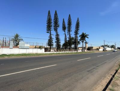 Terreno para Venda, em Maring, bairro Zona 06