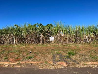 Terreno para Venda, em Umuarama, bairro Jardim Europa