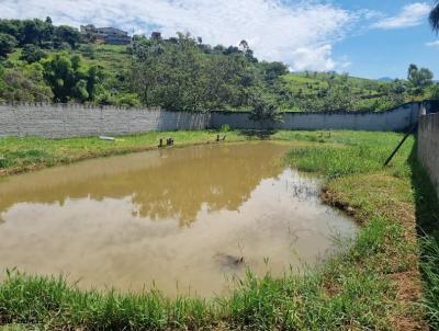 Chcara para Venda, em Lavrinhas, bairro Estrada  Lavrinhas x Cruzeiro