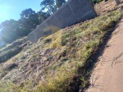 Terreno para Venda, em Castro, bairro Vila Santa Cruz