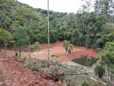 Stio para Venda, em Doutor Pedrinho, bairro BR 477