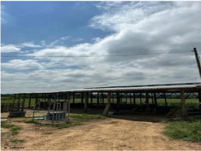 Fazenda para Venda, em Pouso Alegre, bairro Contato