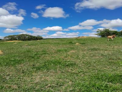 rea Rural para Venda, em Nova Vencia, bairro Zona Rural