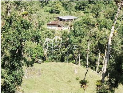 Chcara para Venda, em Campina Grande do Sul, bairro Paiol de Baixo, 2 dormitrios, 1 banheiro