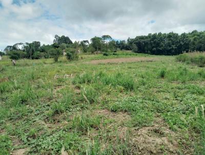 Chcara para Venda, em Prudentpolis, bairro BR 277  LINHA VISCONDE