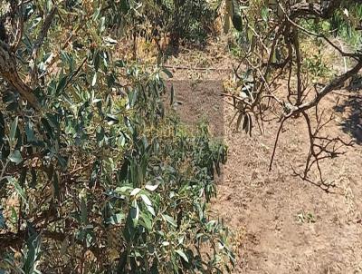 Terreno para Venda, em Campinas, bairro Joaquim Egdio