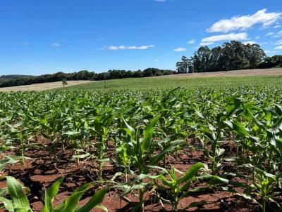 rea Rural para Venda, em Campos Borges, bairro INTERIOR