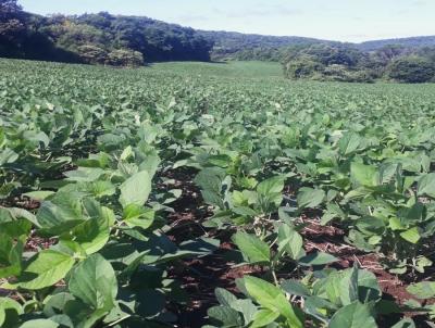 rea Rural para Venda, em Campos Borges, bairro INTERIOR