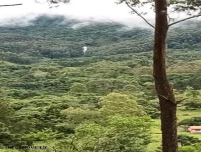 rea para Venda, em Aiuruoca, bairro CANGALHA