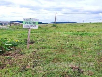 Terreno para Venda, em So Martinho, bairro JARDIM DAS ACACIAS