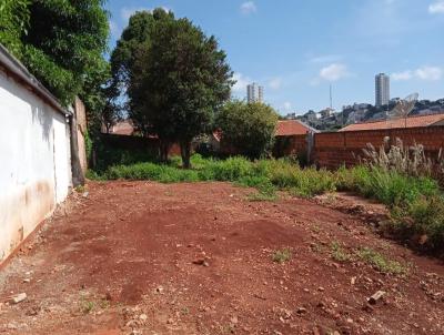 Terreno para Venda, em Apucarana, bairro Vila Sao Jose Bassa