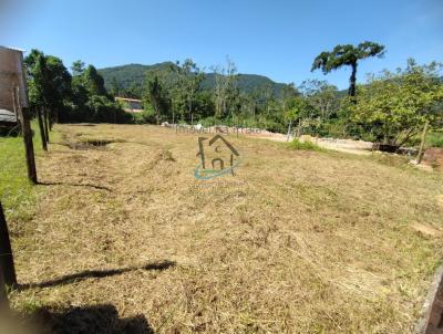 Terreno para Venda, em Ubatuba, bairro Praia da Tabatinga