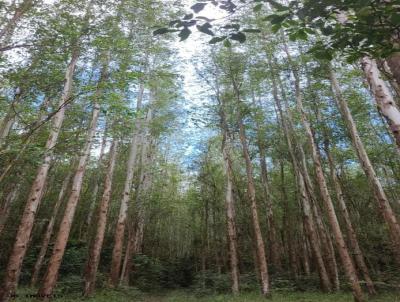 Fazenda para Venda, em Lavrinhas, bairro Contato