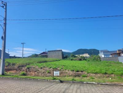 Terreno para Venda, em Governador Celso Ramos, bairro Areias de Baixo