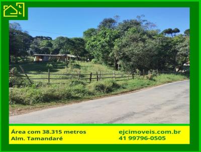 Terreno para Venda, em Almirante Tamandar, bairro Colnia Antnio Prado