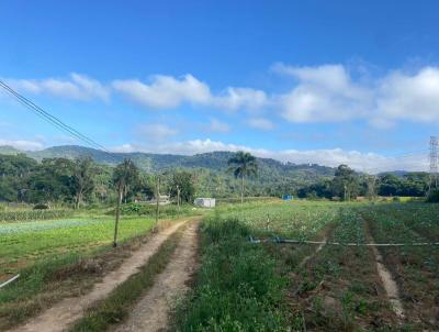 rea para Venda, em Suzano, bairro Sete Cruz