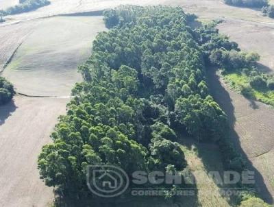 rea Rural para Venda, em Trs Passos, bairro PADRE GONZALES