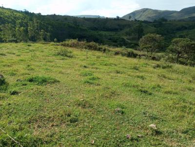 rea Rural para Venda, em Ritpolis, bairro rea Rural
