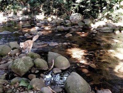 Terreno para Venda, em Paraty, bairro Praia Grande