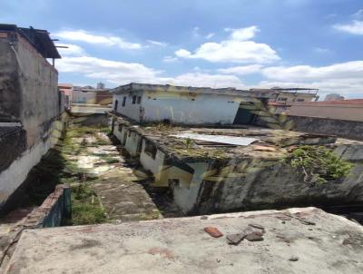 Terreno para Venda, em So Paulo, bairro Vila Maria