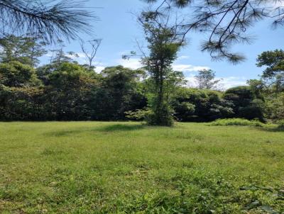 Terreno para Venda, em Pomerode, bairro Testo Alto