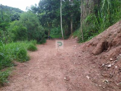 rea para Venda, em Mogi das Cruzes, bairro Mogi Moderno